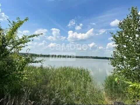 Россия, Ульяновская область, Майнский район, Игнатовское городское поселение, село Белое Озеро, Школьная улица, 10