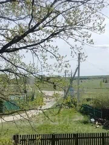 Россия, Ульяновская область, Майнский район, Игнатовское городское поселение, село Белое Озеро, Школьная улица, 10, фото 7