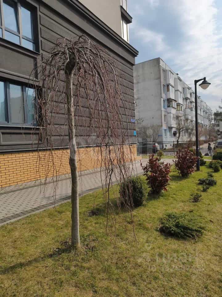 Россия, Калининград, Артиллерийская улица, 85А, фото 31