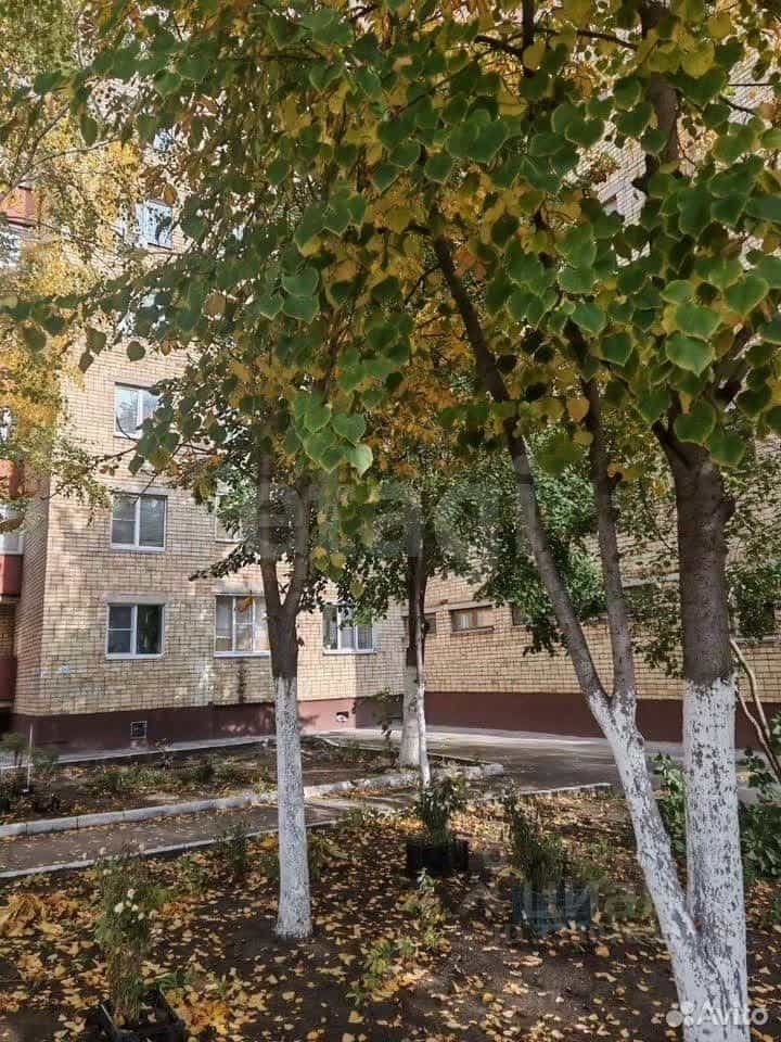 Россия, Тамбов, Базарная улица, 97, фото 12