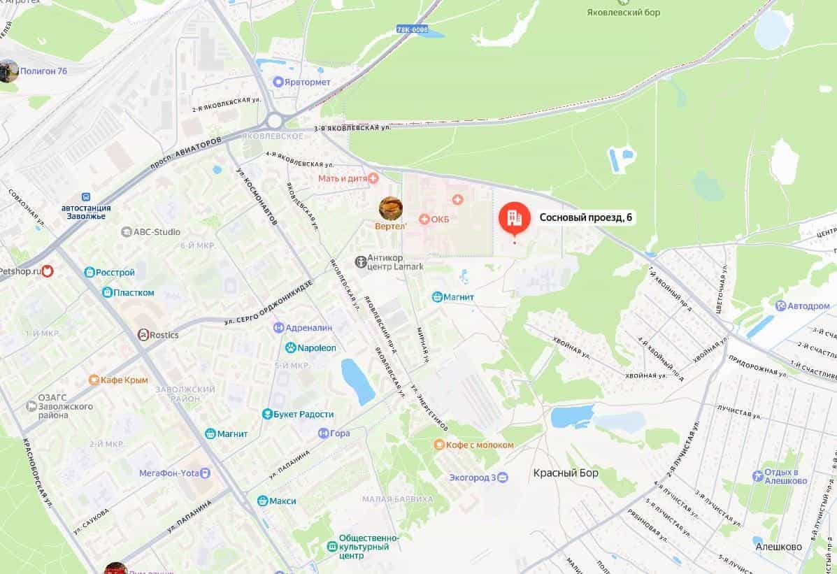 Россия, Ярославский муниципальный округ, посёлок Красный Бор, Сосновый проезд, 5, фото 4