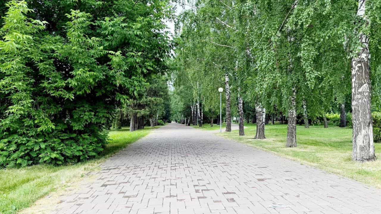 Россия, Кемерово, проспект Ленина, 66Б, фото 20