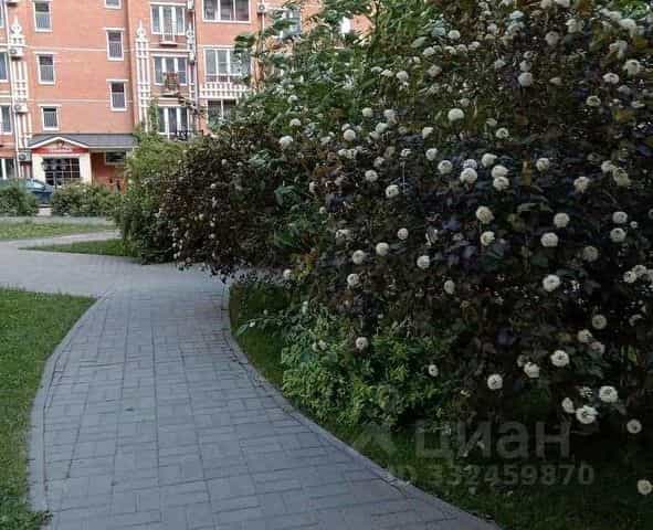Фото объекта