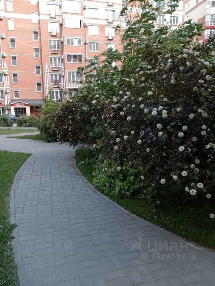 Россия, Воронеж, улица Кривошеина, 13/9