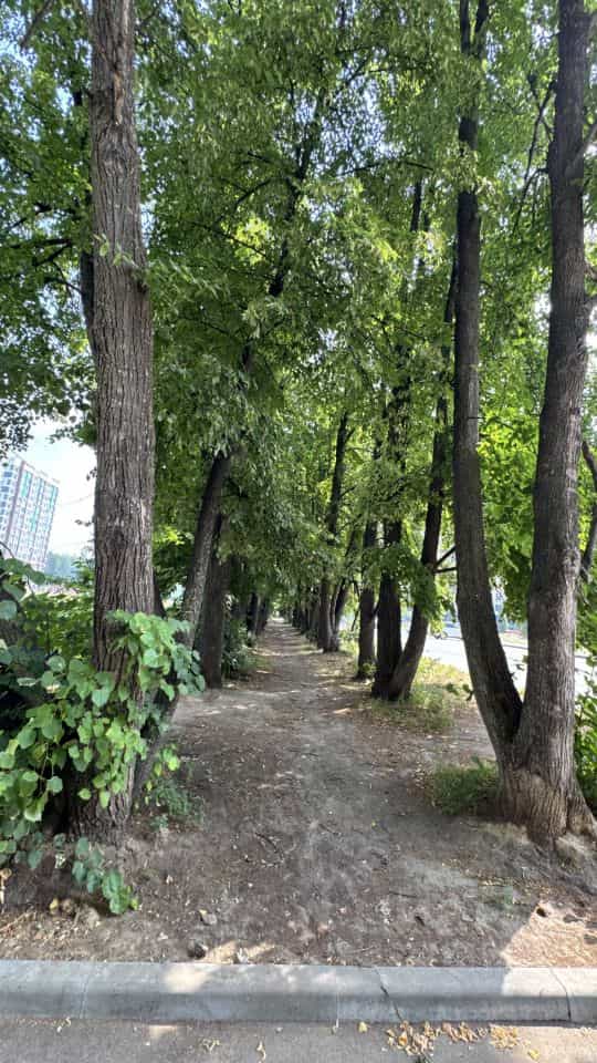 Россия, Алтайский край, Барнаул, 6-я Нагорная улица, 15Г/9, фото 28