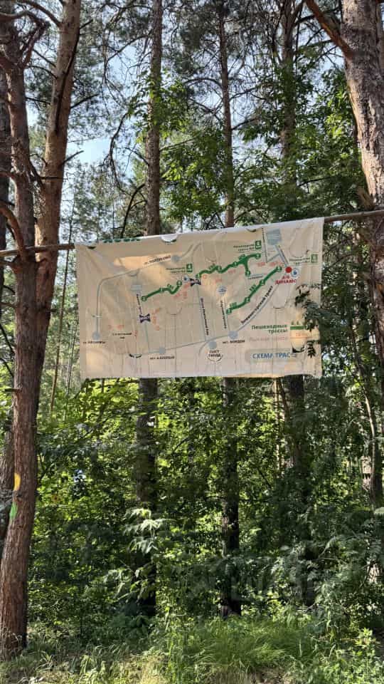 Россия, Алтайский край, Барнаул, 6-я Нагорная улица, 15Г/9, фото 32