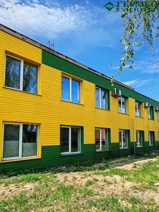 Беларусь, Гродненская область, Лидский район, Дубровенский сельсовет, деревня Обманичи, 12, фото 2