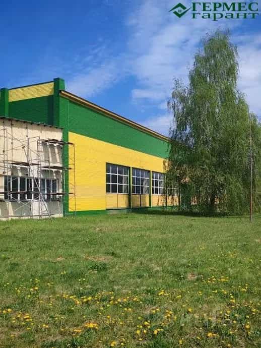 Беларусь, Гродненская область, Лидский район, Дубровенский сельсовет, деревня Обманичи, 12, фото 4