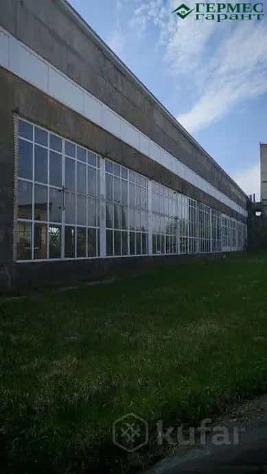 Беларусь, Гродненская область, Лидский район, Дубровенский сельсовет, деревня Обманичи, 12, фото 5