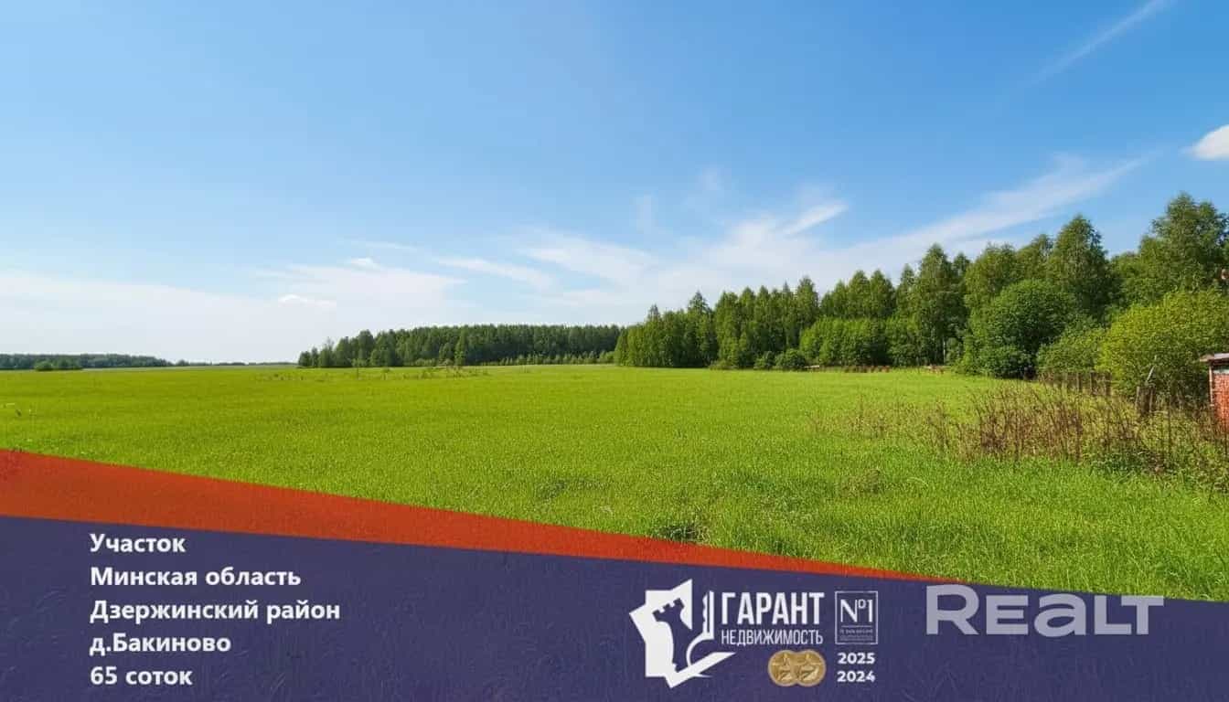 Беларусь, Минская область, Дзержинский район, Боровской сельсовет, деревня Бакиново, Центральная улица, 38