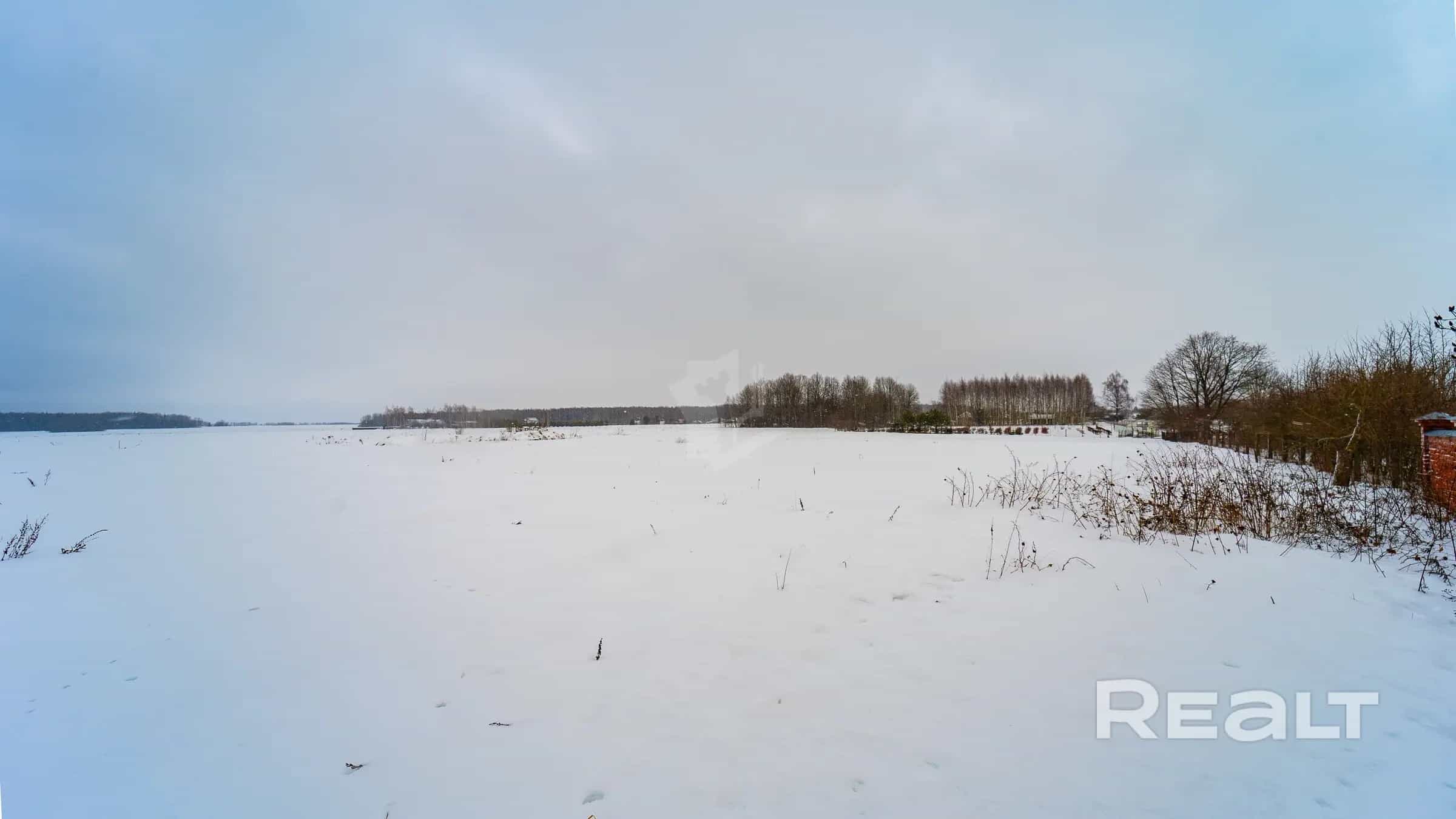 Беларусь, Минская область, Дзержинский район, Боровской сельсовет, деревня Бакиново, Центральная улица, 38, фото 2