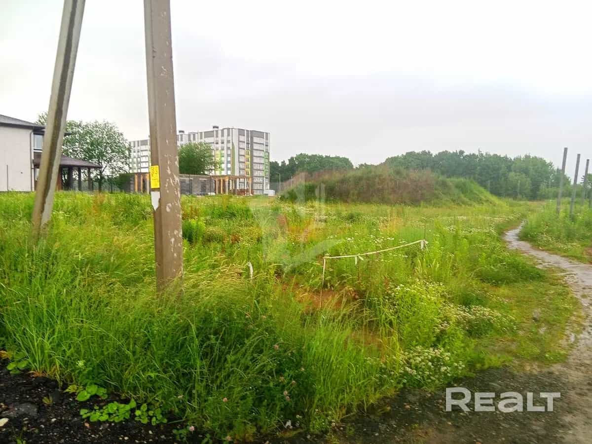 Беларусь, Минский район, агрогородок Сеница, Слуцкое шоссе, 27, фото 6