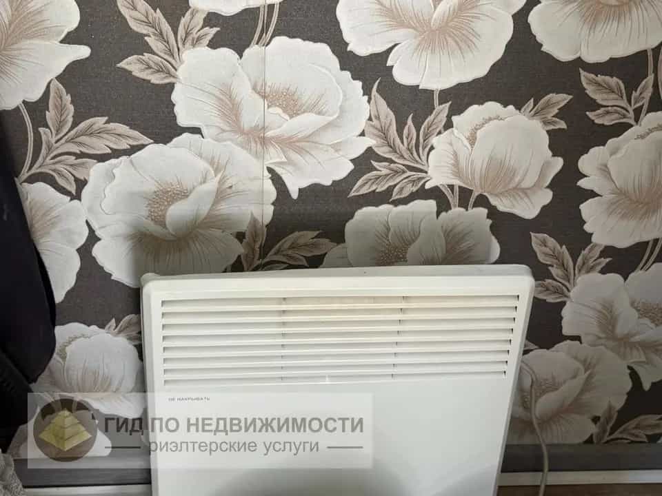 Беларусь, Гомельская область, Добрушский район, Утевский сельсовет, деревня Гордуны, улица Юрия Гагарина, 56, фото 13