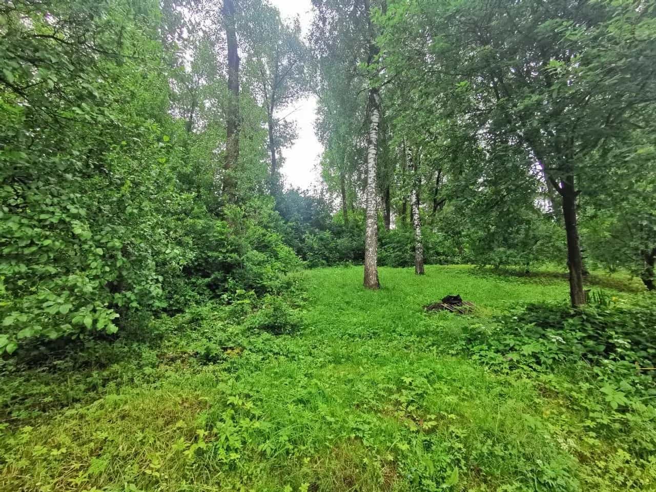Беларусь, Витебск, Вишнёвый переулок, 13, фото 15