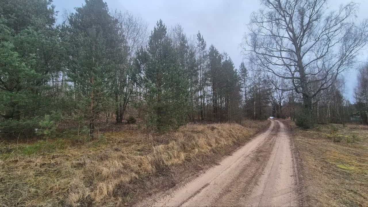 Беларусь, Минская область, Столбцовский район, Рубежевичский сельсовет, деревня Рожанка, Лесная улица, 1А, фото 18