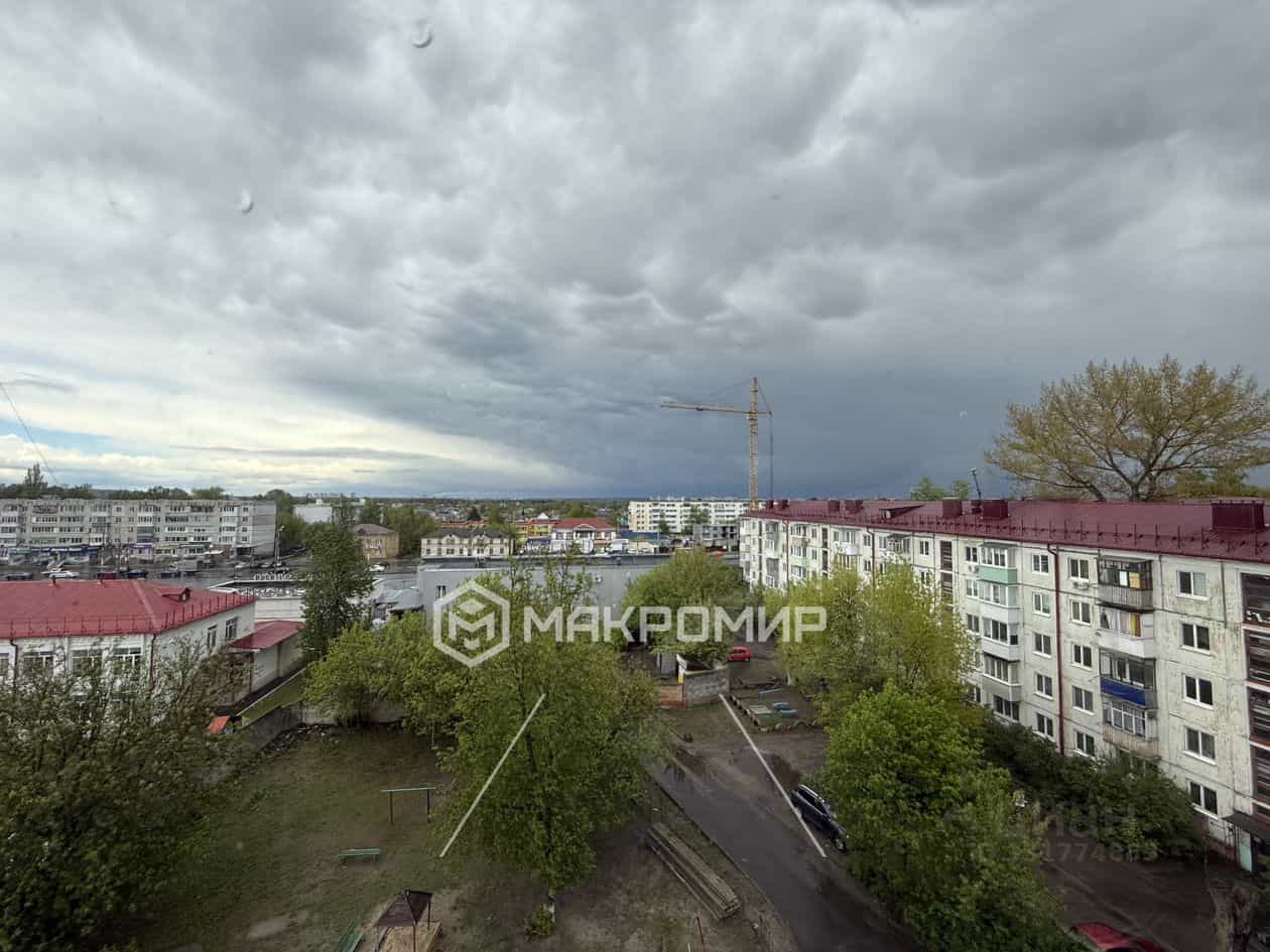 Россия, Брянск, переулок Литвинова, 1, фото 18