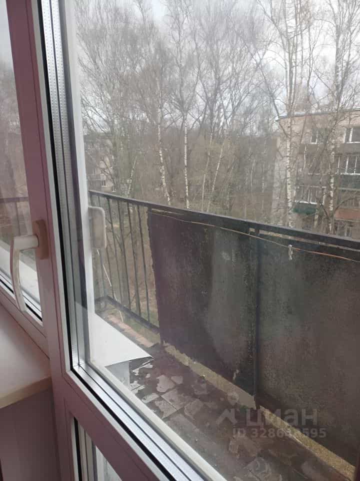 Россия, Новгородская область, Старая Русса, Александровская улица, 45, фото 8