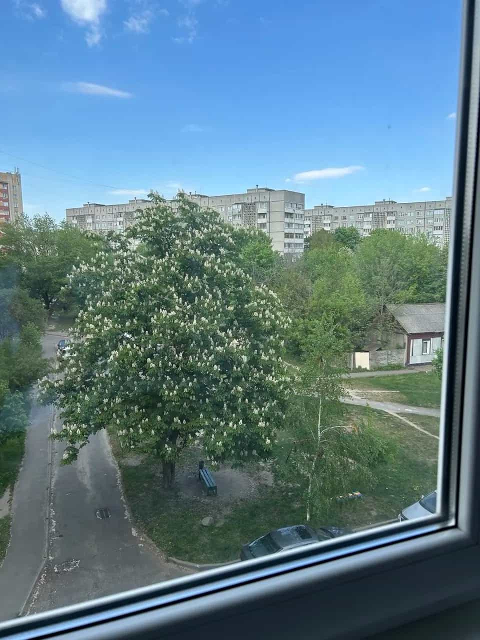 Беларусь, Гомель, Новополесская улица, 38, фото 2
