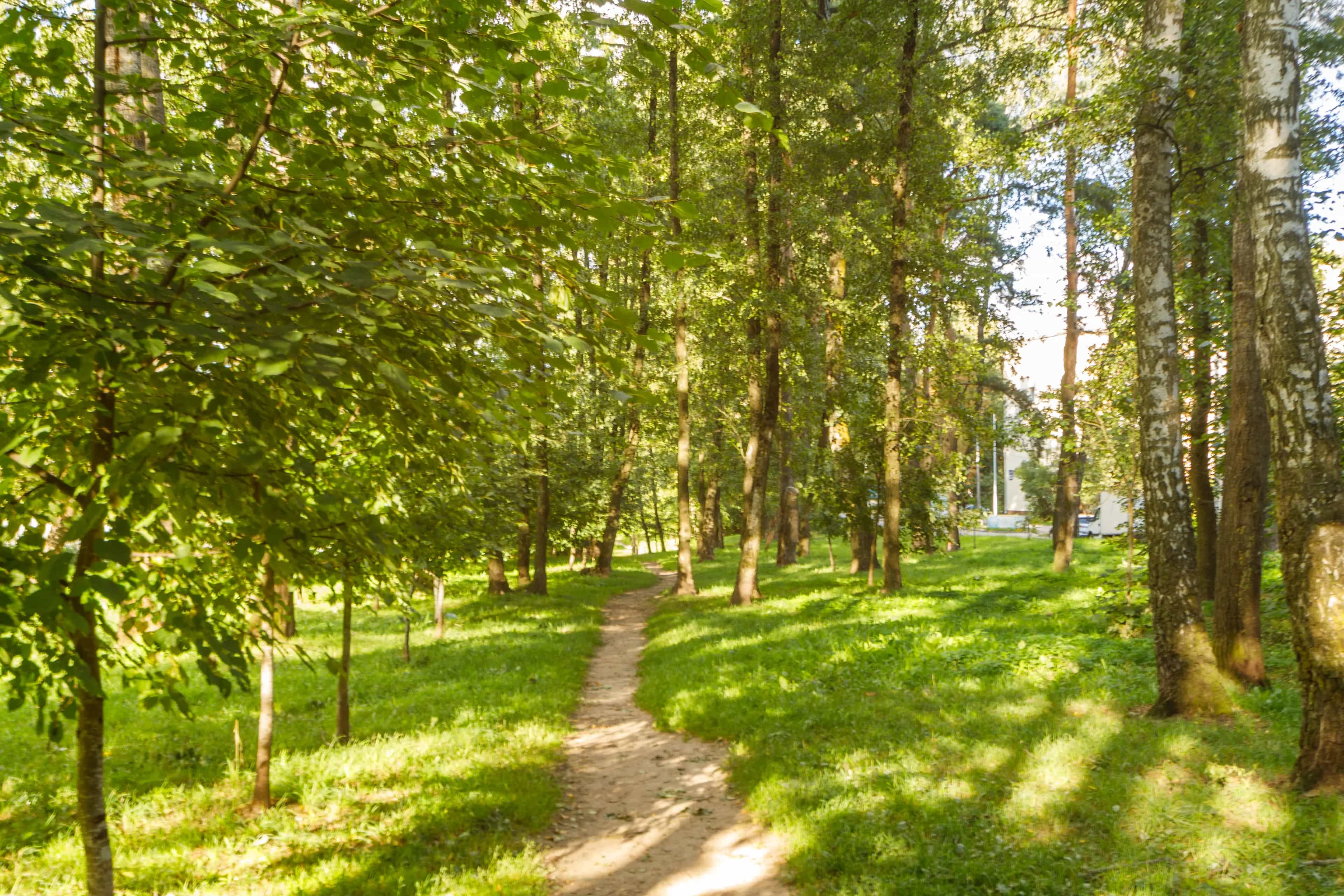 Беларусь, Минск, улица Ландера, 60к1, фото 23