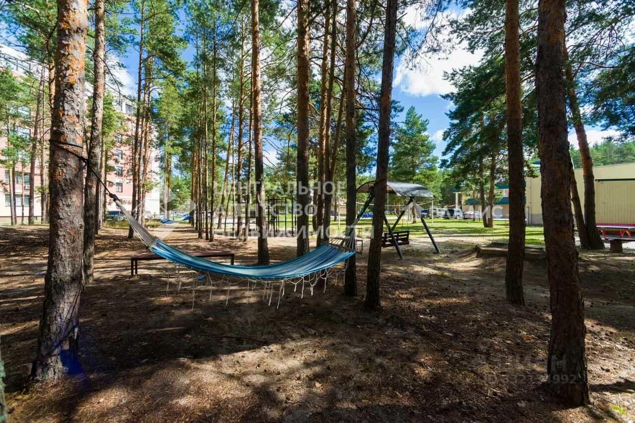 Россия, Рязань, район Солотча, 34литВ, фото 28
