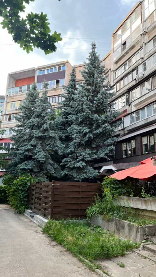 Россия, Нижний Новгород, Волжская набережная, 11, фото 48