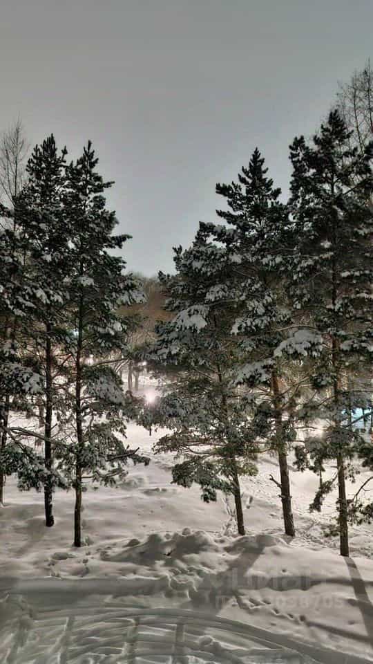 Россия, Новосибирская область, Искитим, Набережная улица, 20Б, фото 2