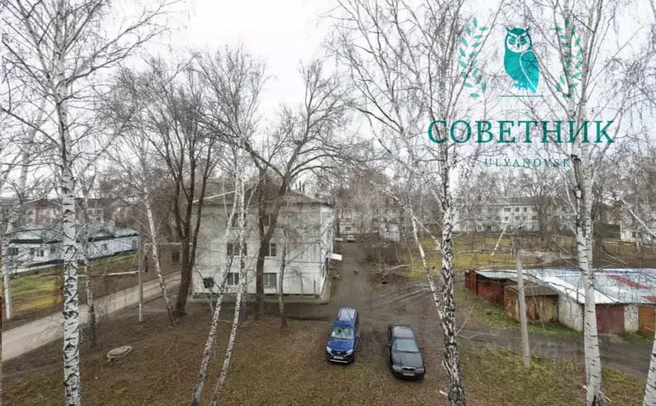 Россия, Ульяновская область, городской округ Новоульяновск, село Криуши, улица Затон, 31, фото 10