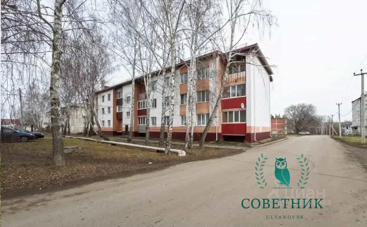 Россия, Ульяновская область, городской округ Новоульяновск, село Криуши, улица Затон, 31, фото 12