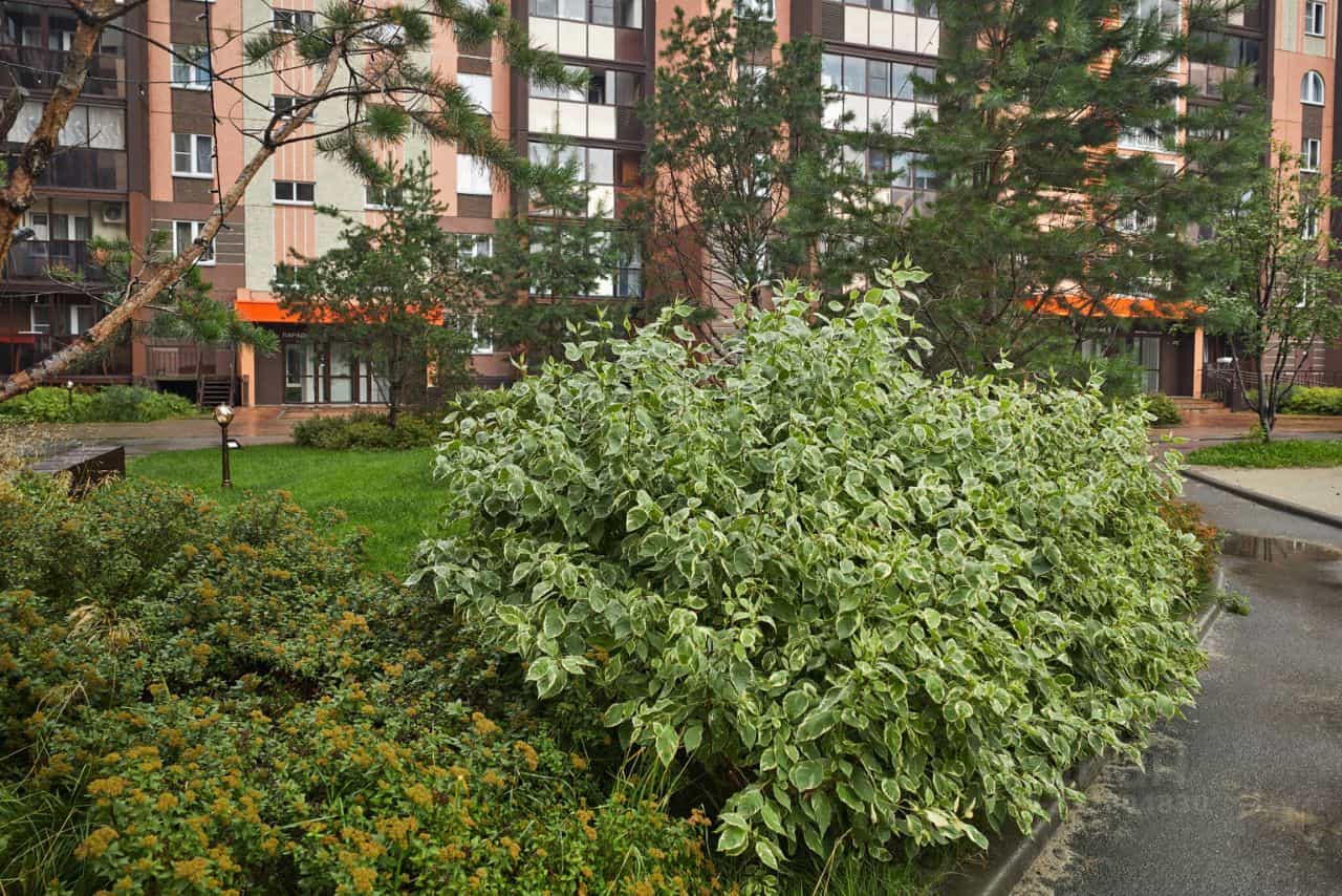 Россия, Челябинск, улица Марченко, 32, фото 20