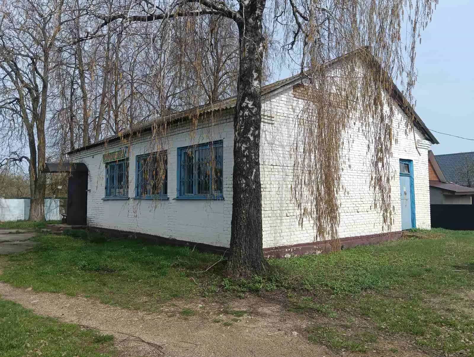 Беларусь, Минская область, Солигорский район, Чижевичский сельсовет, деревня Погост-1, улица Зиновьева, 50А, фото 10