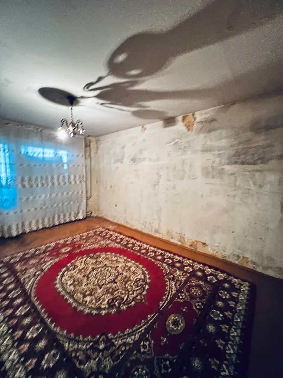 Беларусь, Могилёв, Каштановая улица, 37, фото 6