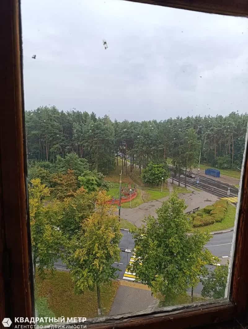 Беларусь, Минская область, Солигорск, проспект Мира, 19, фото 12