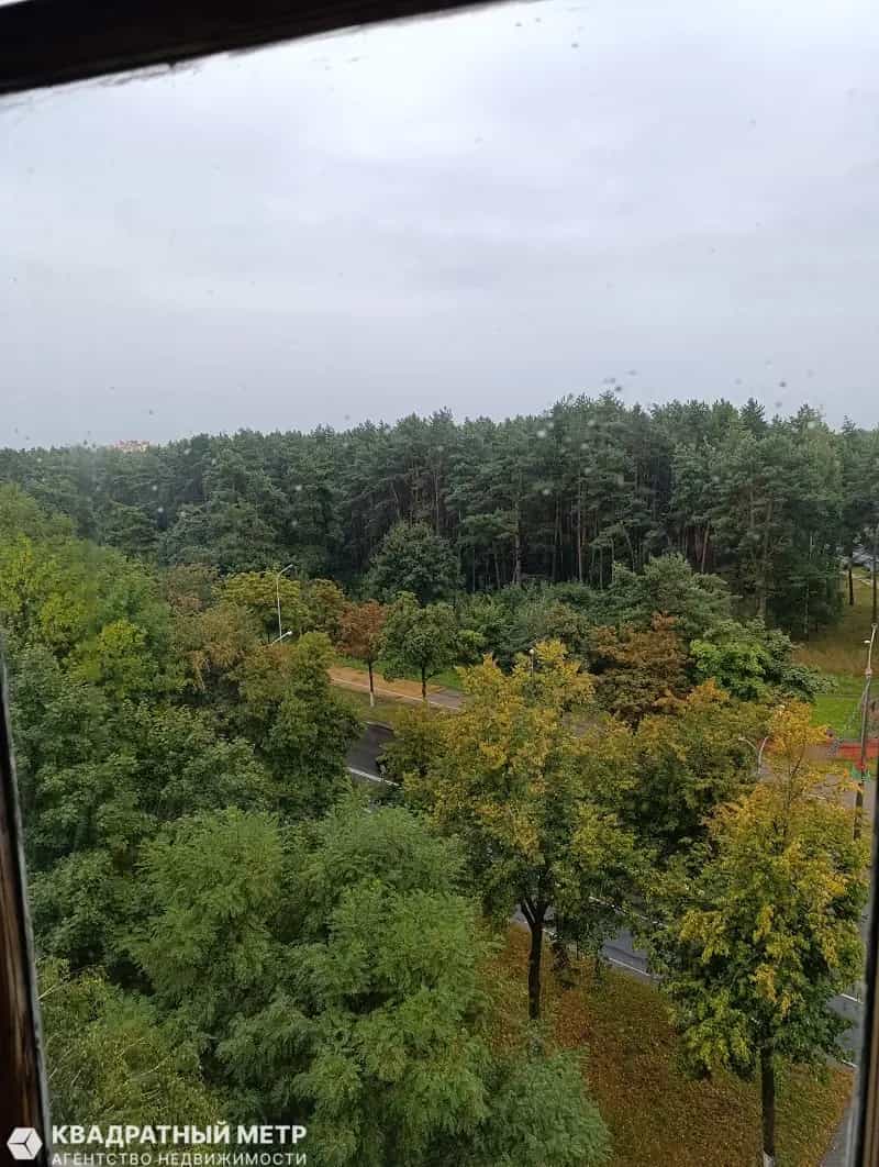 Беларусь, Минская область, Солигорск, проспект Мира, 19, фото 13