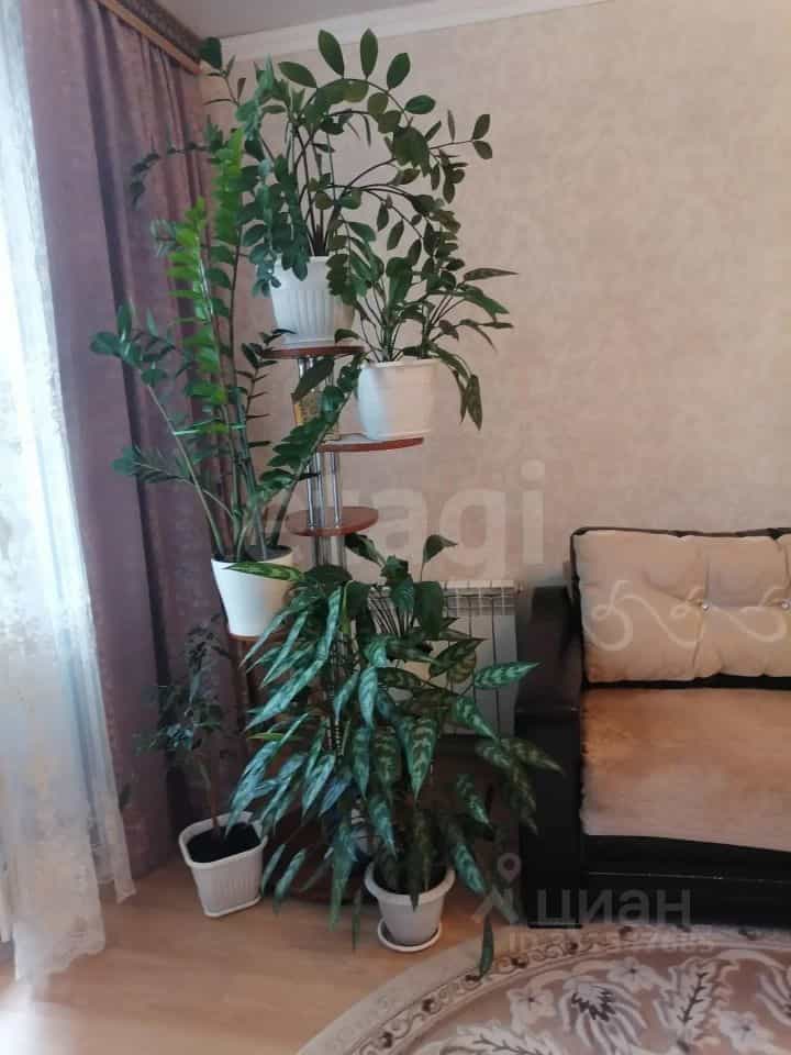 Россия, Курск, проспект Вячеслава Клыкова, 49, фото 6