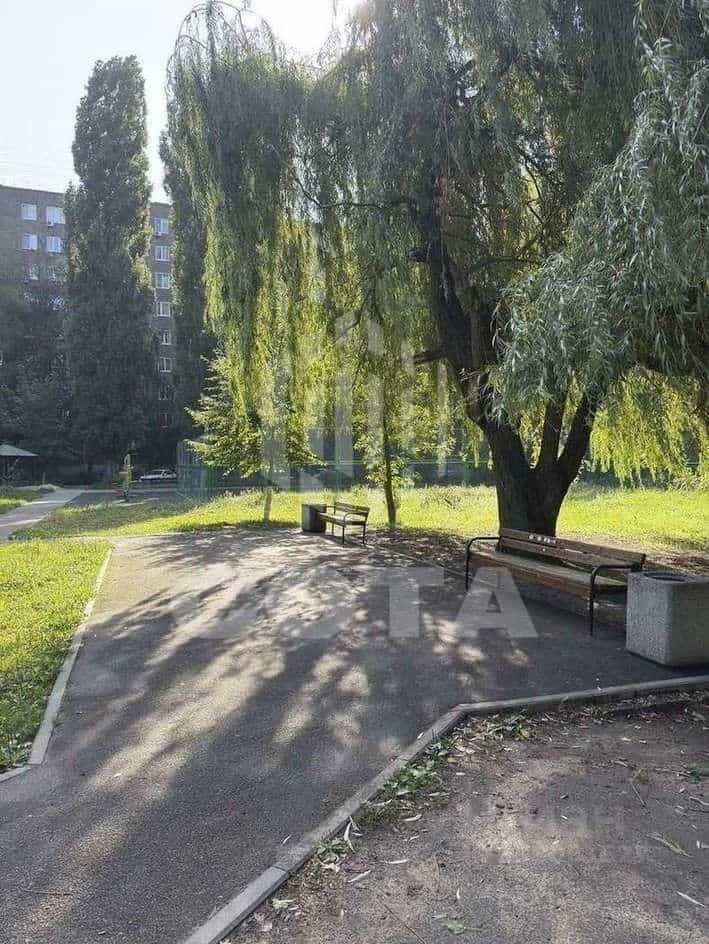Россия, Воронеж, улица Хользунова, 98, фото 17