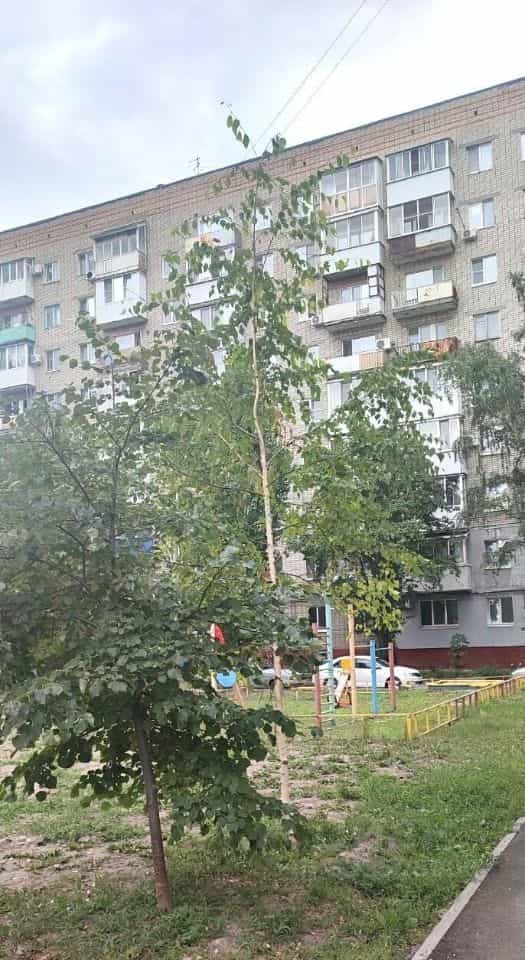 Россия, Саратов, улица имени М.М. Расковой, 7, фото 18