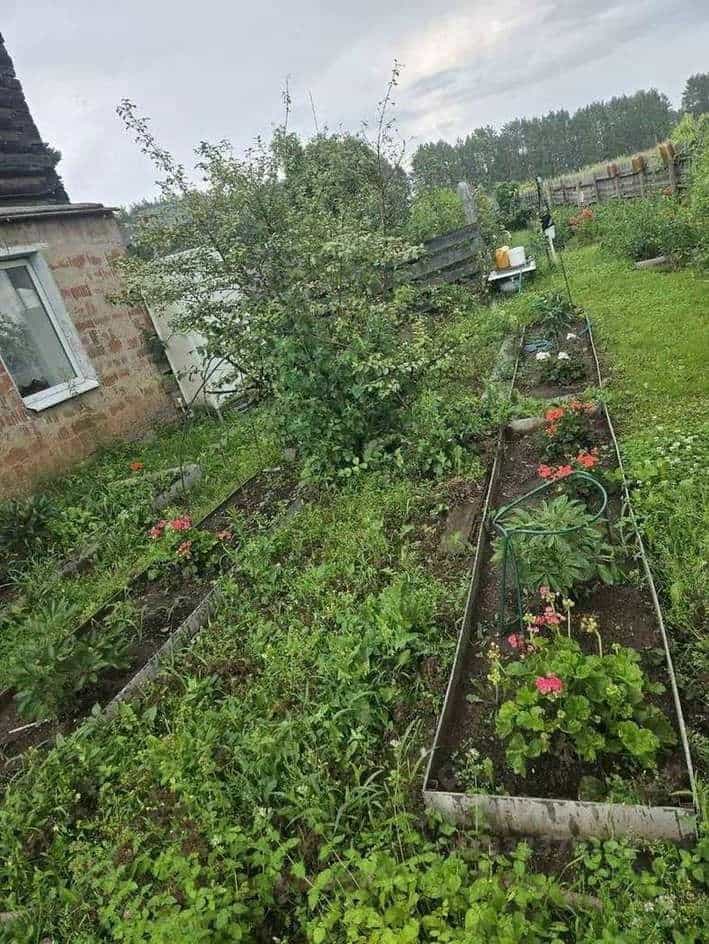 Россия, Удмуртская Республика, Ижевск, улица Сарапульский тракт, 7км, 12, фото 19