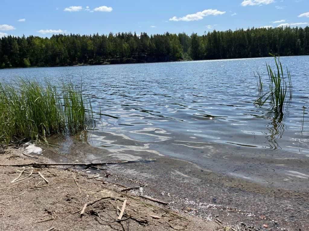 Россия, Ленинградская область, Приозерский район, городской посёлок Кузнечное, Приозерское шоссе, 17, фото 11