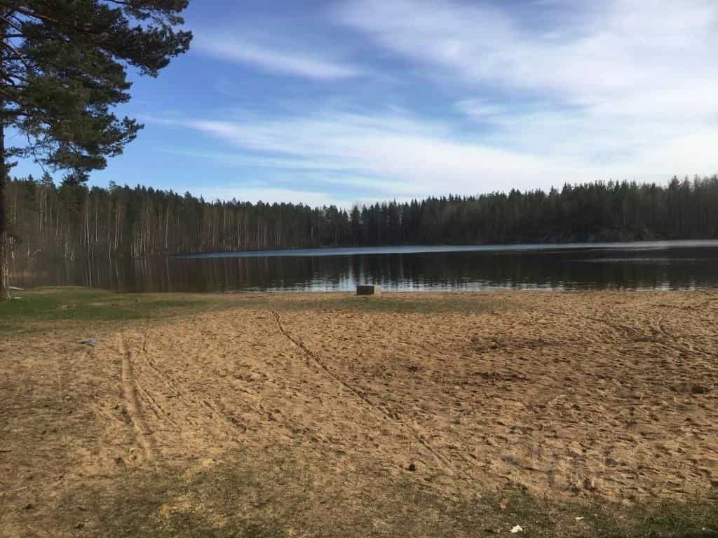Россия, Ленинградская область, Приозерский район, городской посёлок Кузнечное, Приозерское шоссе, 17, фото 12