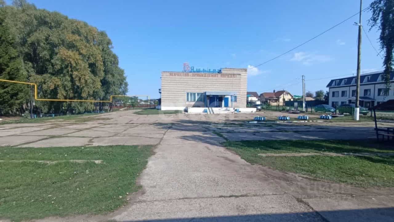 Россия, Республика Татарстан (Татарстан), Тукаевский район, село Калмаш, Центральная улица, 34, фото 8