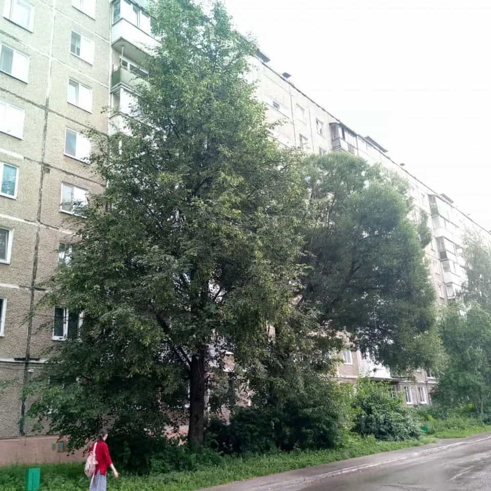 Россия, Пермь, Целинная улица, 17, фото 7