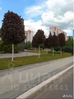 Россия, Курск, проспект Анатолия Дериглазова, 41, фото 22