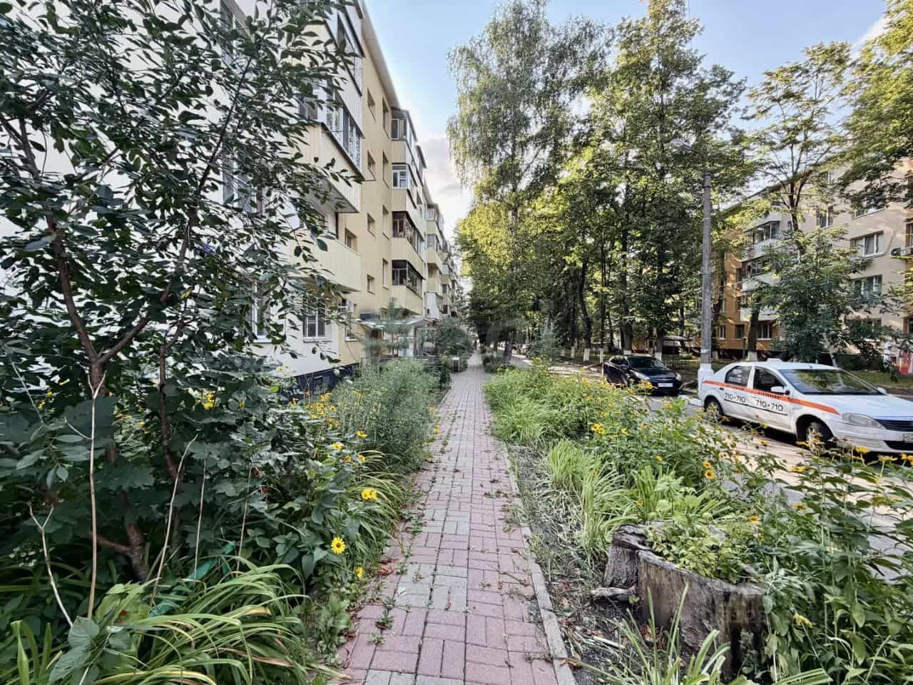 Россия, Белгород, улица Мокроусова, 15, фото 17