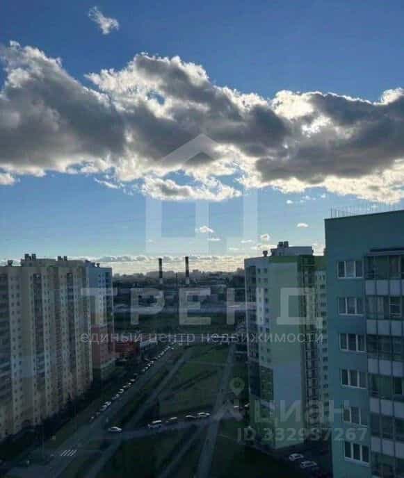 Россия, Санкт-Петербург, улица Даниила Хармса, 8, фото 4