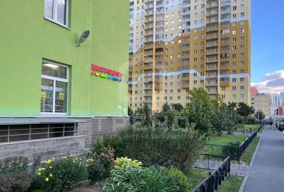 Россия, Санкт-Петербург, улица Даниила Хармса, 8, фото 15
