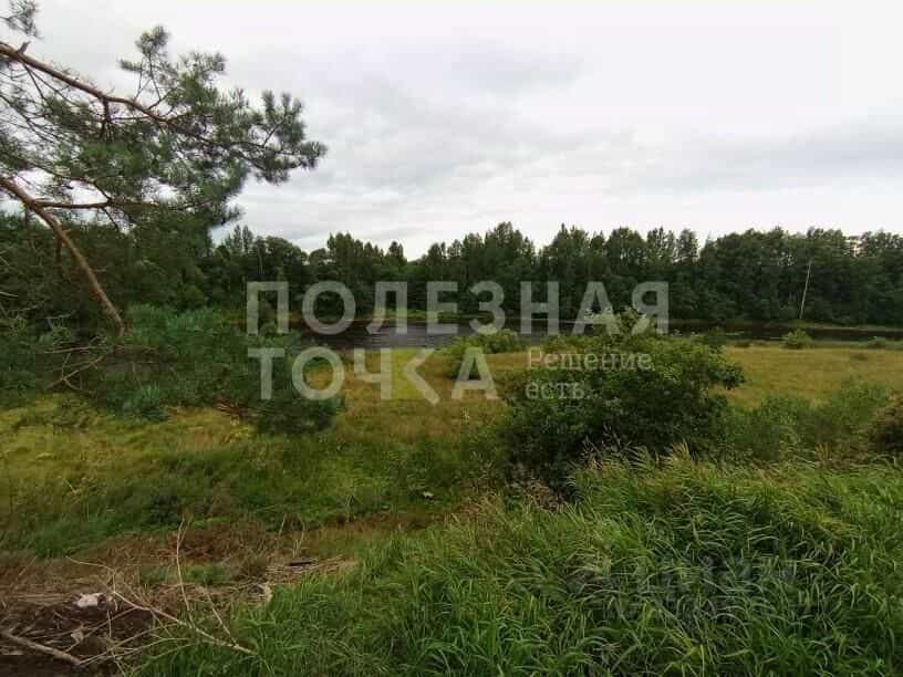 Россия, Новгородская область, Боровичский муниципальный округ, деревня Ёгла, Мстинская улица, 44, фото 19