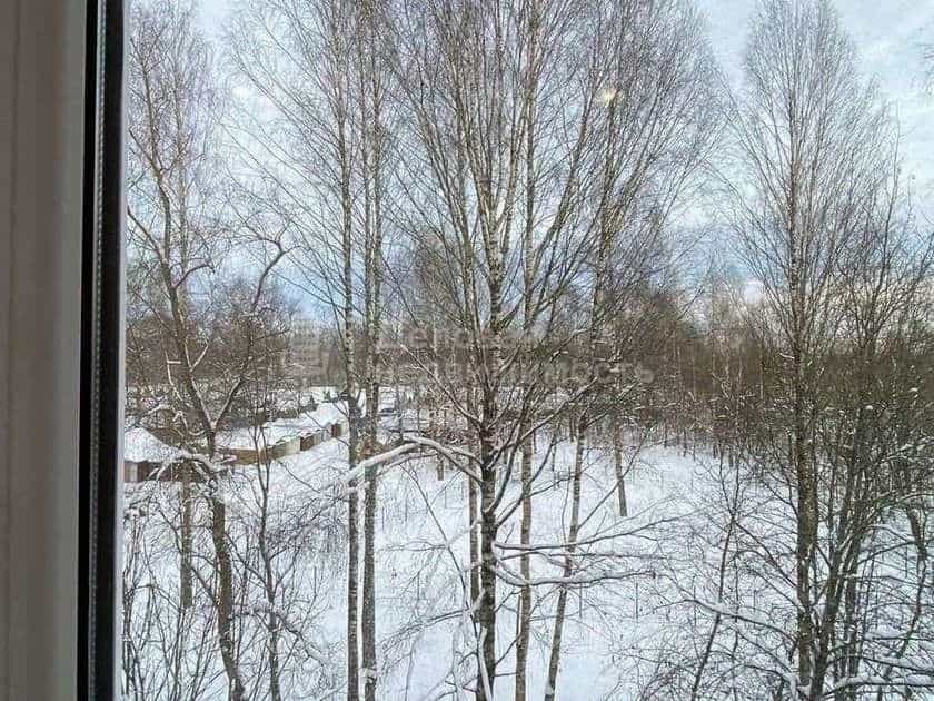 Россия, Новгородский муниципальный округ, Савинское сельское поселение, деревня Новоселицы, Армейская улица, 102, фото 5