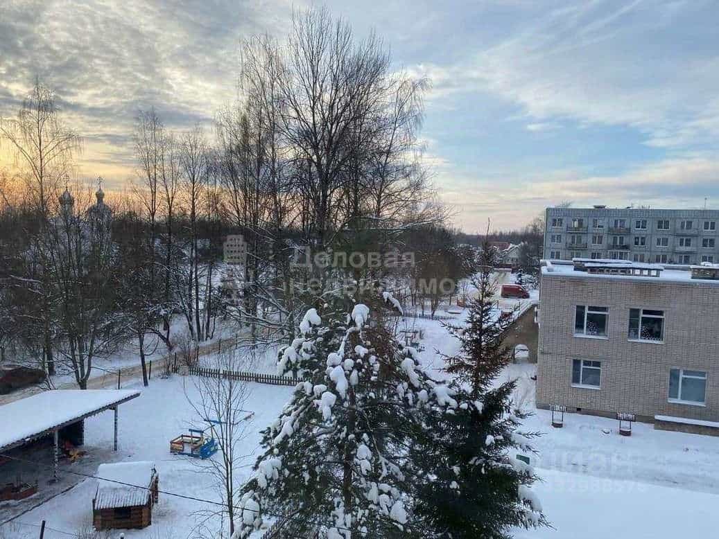 Россия, Новгородский муниципальный округ, Савинское сельское поселение, деревня Новоселицы, Армейская улица, 102, фото 19