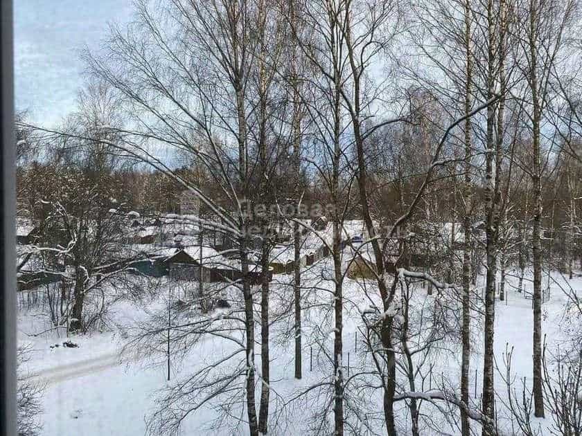 Россия, Новгородский муниципальный округ, Савинское сельское поселение, деревня Новоселицы, Армейская улица, 102, фото 21