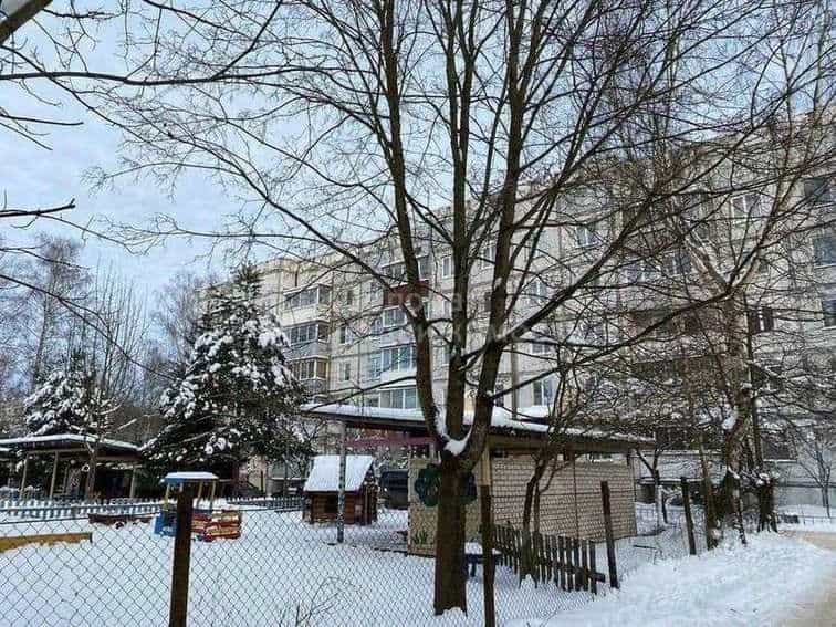 Россия, Новгородский муниципальный округ, Савинское сельское поселение, деревня Новоселицы, Армейская улица, 102, фото 34